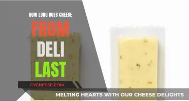 Cheese Storage: Deli Cheese Shelf Life Explained