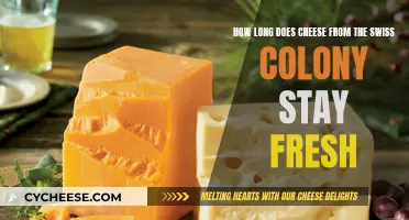 Swiss Colony Cheese: How Long Does Freshness Last?