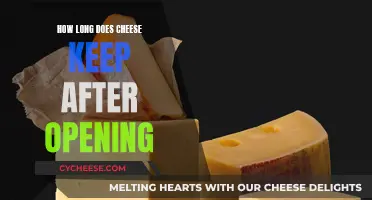 Cheese Lifespan: How Long Does it Last After Opening?