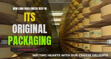 Cheese Storage: How Long Does Original Packaging Last?