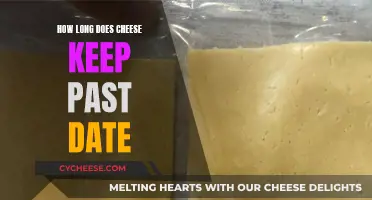 Cheese Expiry: How Long Does it Actually Last?