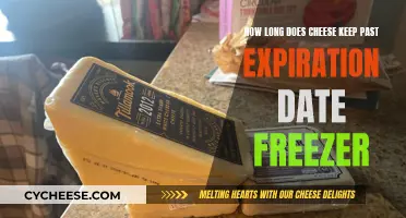 Cheese Expiration: Freezer Life and Food Safety