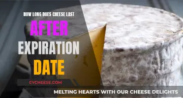 Cheese Expiration: How Long Can You Safely Indulge?