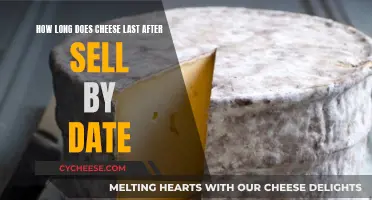 Cheese Expiration: How Long Does it Actually Last?