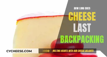 Cheese Longevity: Backpacking Essentials for Dairy Connoisseurs