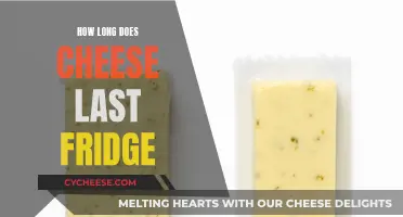 Cheese Lifespan: How Long Does it Last?