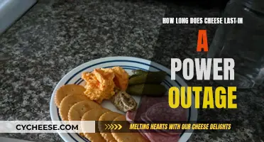 Cheese Survival Guide: Power Outage Edition