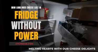 Cheese Lifespan in a Powerless Fridge: How Long?