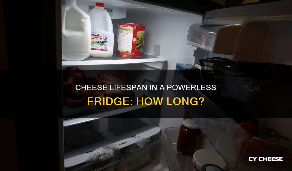 how long does cheese last in fridge without power