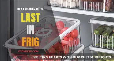 Cheese Lifespan in the Fridge: How Long Does it Last?