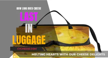 Cheese Storage: How Long Does It Last in Luggage?