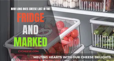 Cheese Lifespan: Fridge and Marked Storage Explained