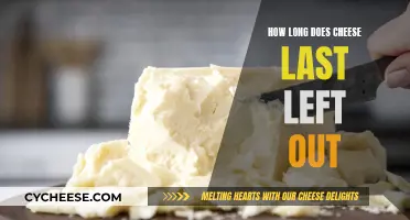 Cheese Lifespan: How Long Does it Last Unrefrigerated?