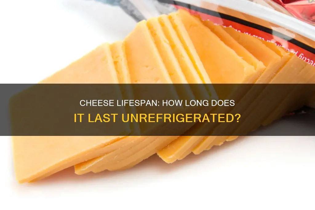 how long does cheese last left out