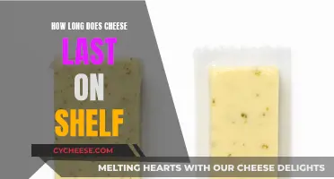 Cheese Shelf Life: How Long Does it Last?