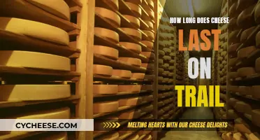 Cheese Lifespan on the Trail: How Long Does it Last?