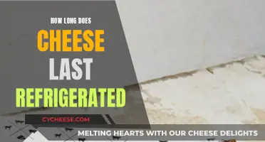 Cheese Lifespan: How Long Does Refrigeration Help?