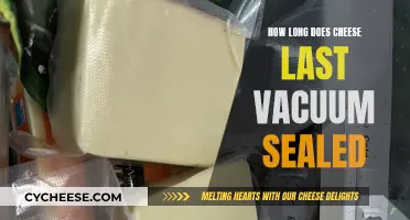 Vacuum-Sealed Cheese: How Long Does It Really Last?