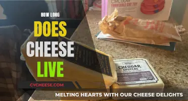 Cheese Lifespan: How Long Does it Last?