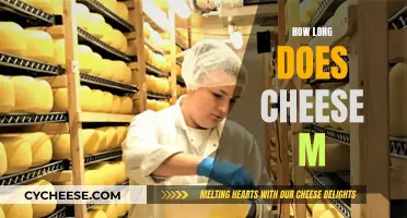 The Ultimate Guide to Cheese Longevity