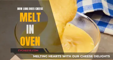 Cheese Melting in the Oven: Time and Temperature Guide