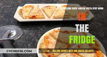 Cheese Pizza: How Long Does it Stay Fresh?