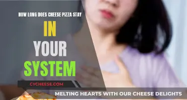 Cheese Pizza: How Long Does It Stay In You?