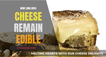 Cheese Edibility: How Long Does it Last?