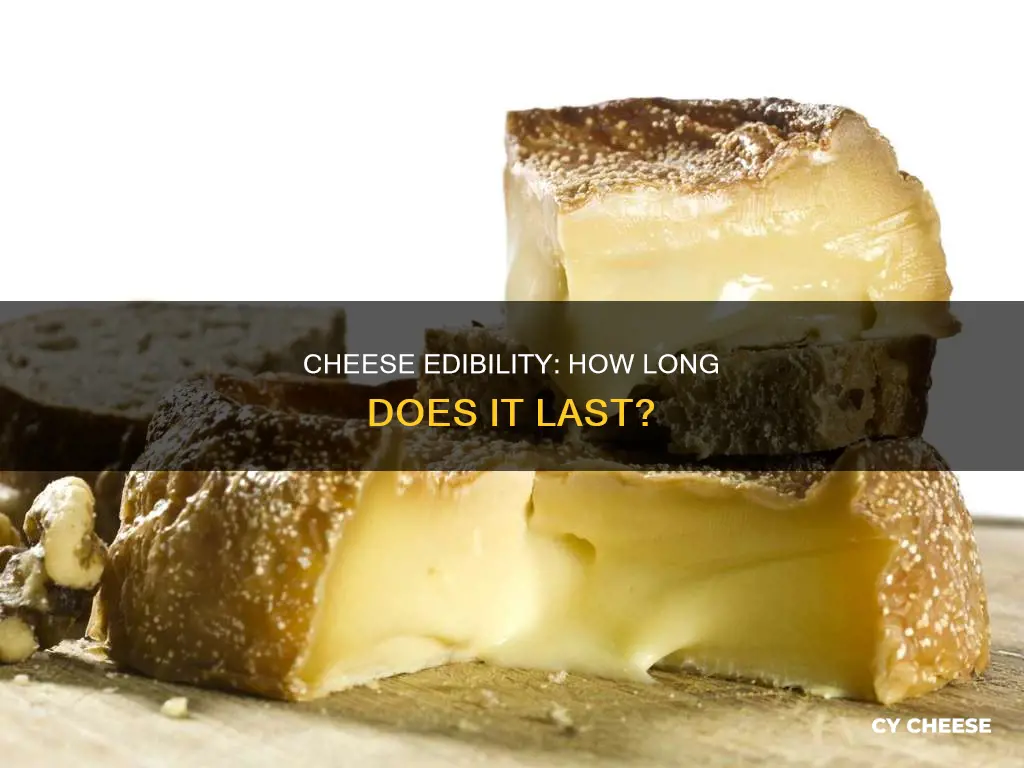 how long does cheese remain edible