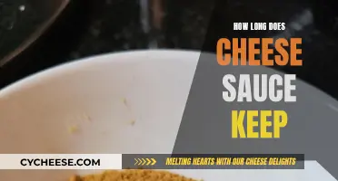 Cheese Sauce: How Long Does it Really Last?