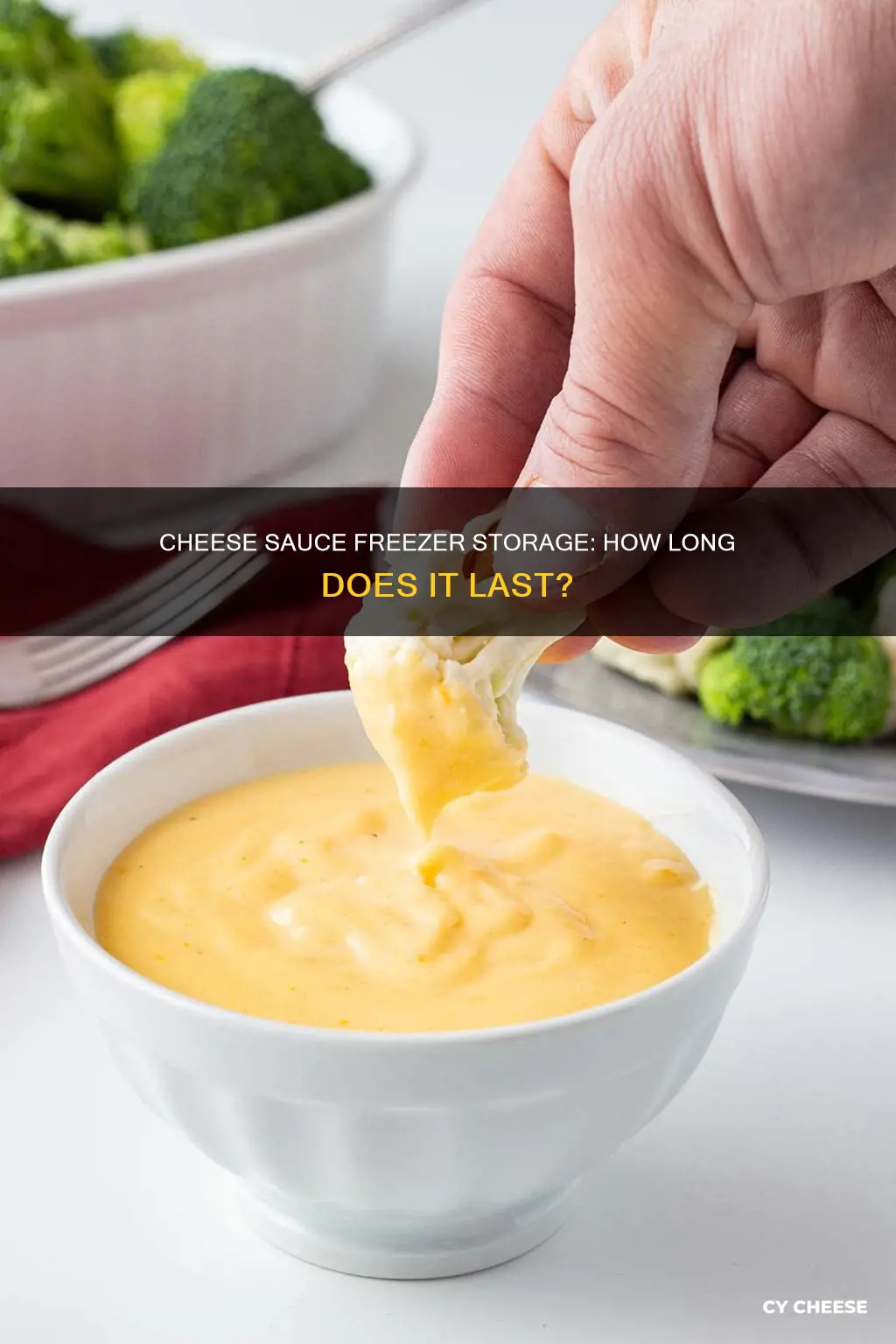 how long does cheese sauce last in the freezer