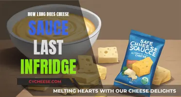 Cheese Sauce: How Long Does it Last in the Fridge?