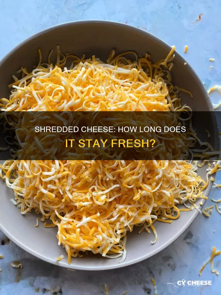 how long does cheese shredded from a block last