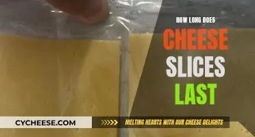 Cheese Slice Lifespan: How Long Do They Last?