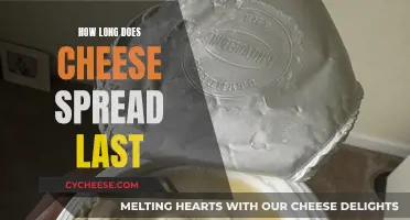 Cheese Spread: How Long Does It Stay Fresh?