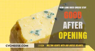 Cheese Lifespan: How Long Does it Last?