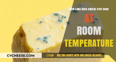 Cheese Storage: How Long Can You Leave It Out?