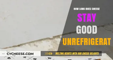 Cheese Unrefrigerated: How Long Does it Last?