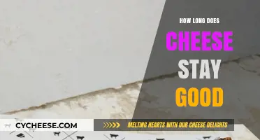 Cheese Shelf Life: How Long Does Cheese Stay Fresh and Safe?