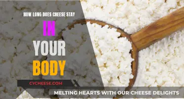 Cheese Metabolism: How Long Does It Stay in Your Body?