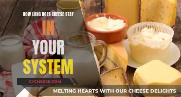 Cheese Connoisseurs: Understanding Cheese's Persistence in Your System