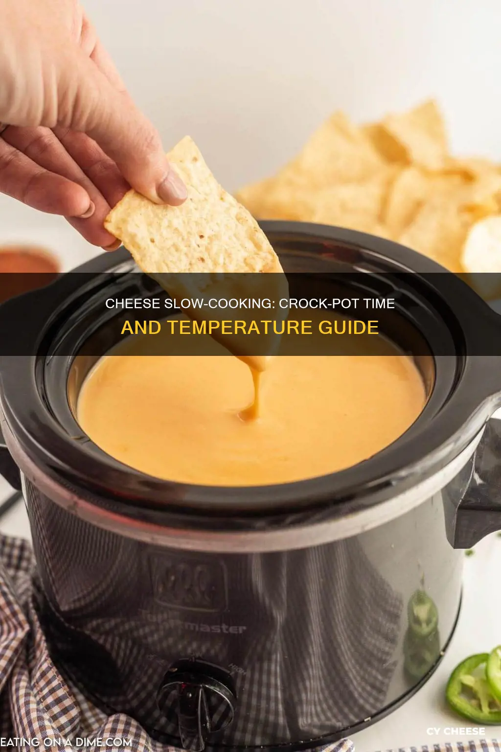 how long does cheese take to cook in the crock-pot