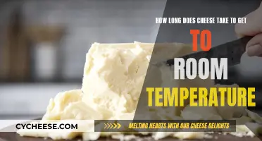 Cheese Temperature Control: Room Readiness Timing Explored