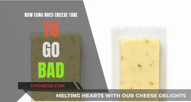 Cheese's Longevity: How Long Does It Last?