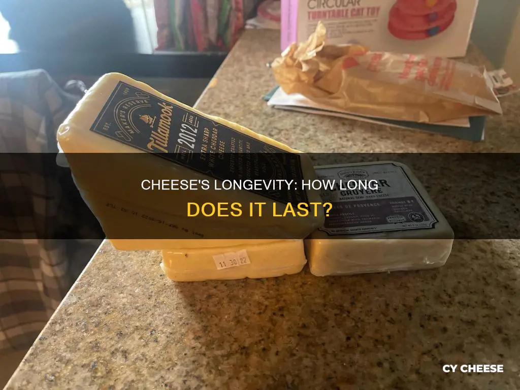 how long does cheese take to go bad