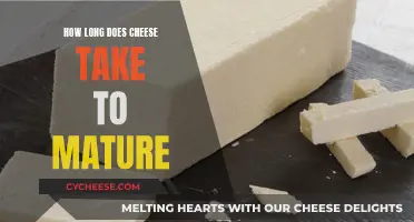 The Art of Cheese Making: Maturation Time Explored