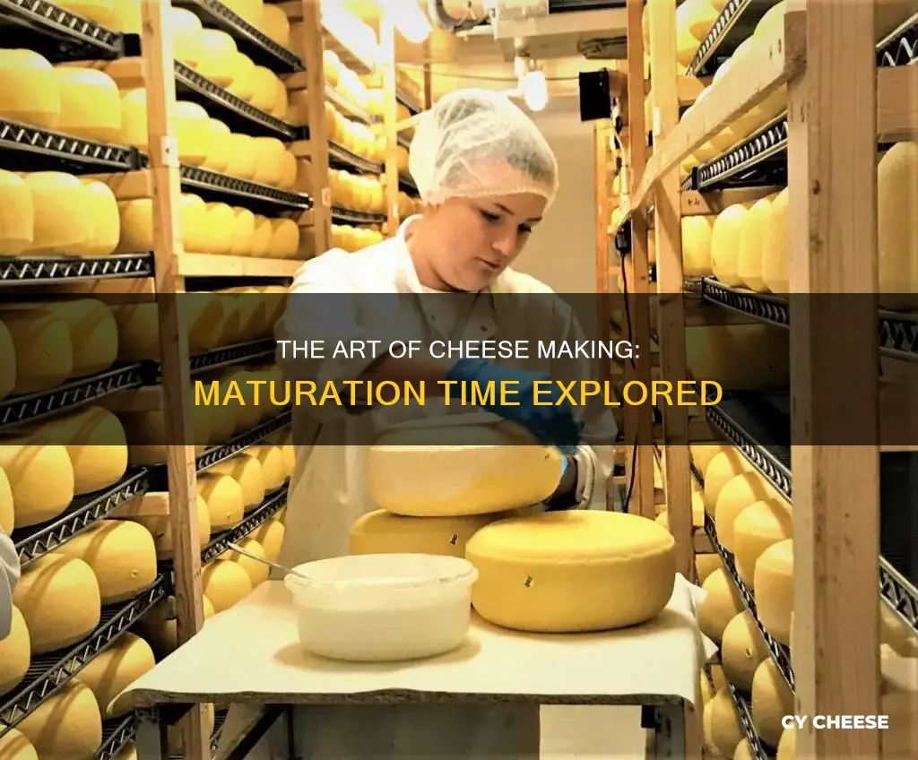 how long does cheese take to mature