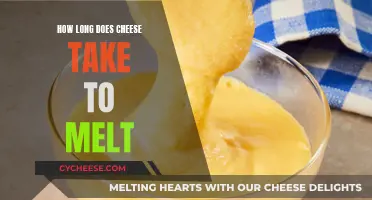 Melting Cheese: Time, Tips, and Techniques