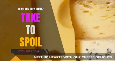 Cheese Spoilage: How Long Does it Really Last?