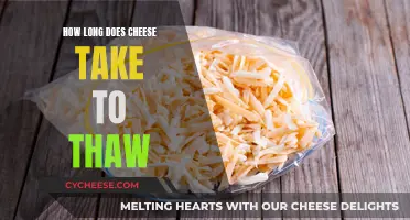 Cheese Thawing: How Long Does It Actually Take?